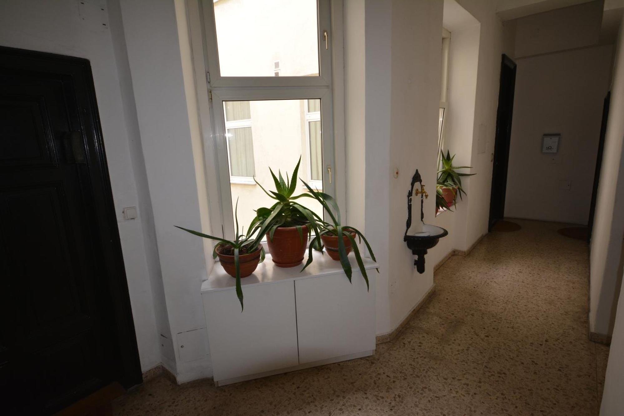 Vienna Holiday Apartments Exterior foto